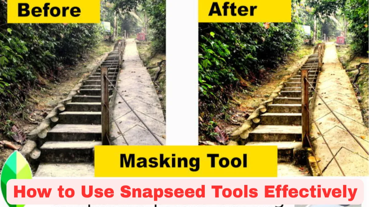 How to Use Snapseed Tools Effectively